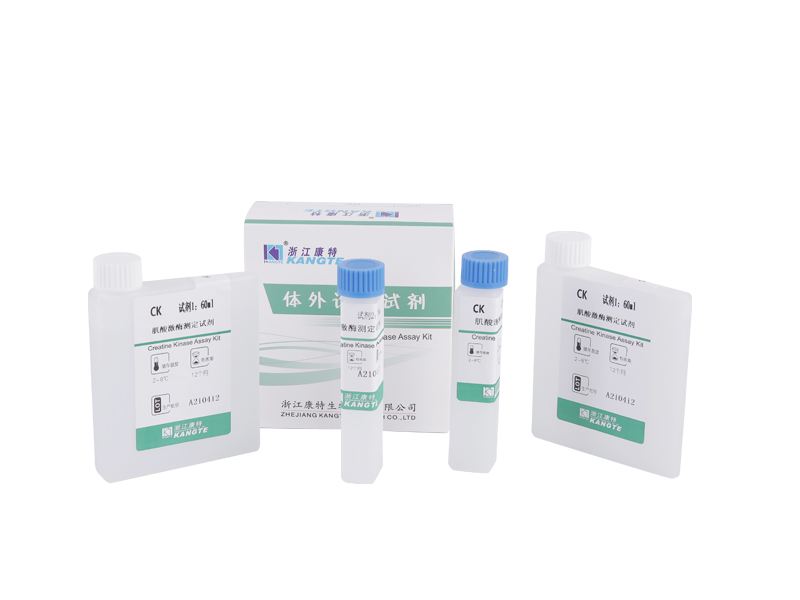【CK】Kit di dosaggio della creatina chinasi (metodo con substrato di creatina fosfato)