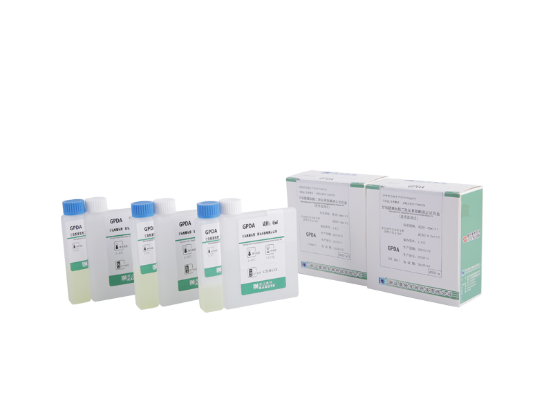 【GPDA】Kit di test della glicilprolina dipeptidil aminopeptidasi (metodo di monitoraggio continuo)