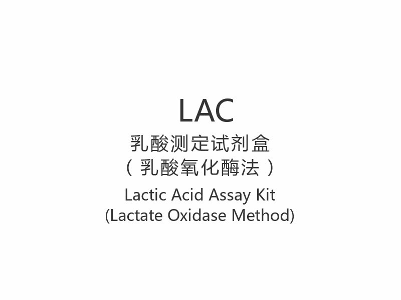 【LAC】Kit per il dosaggio dell'acido lattico (metodo della lattato ossidasi)