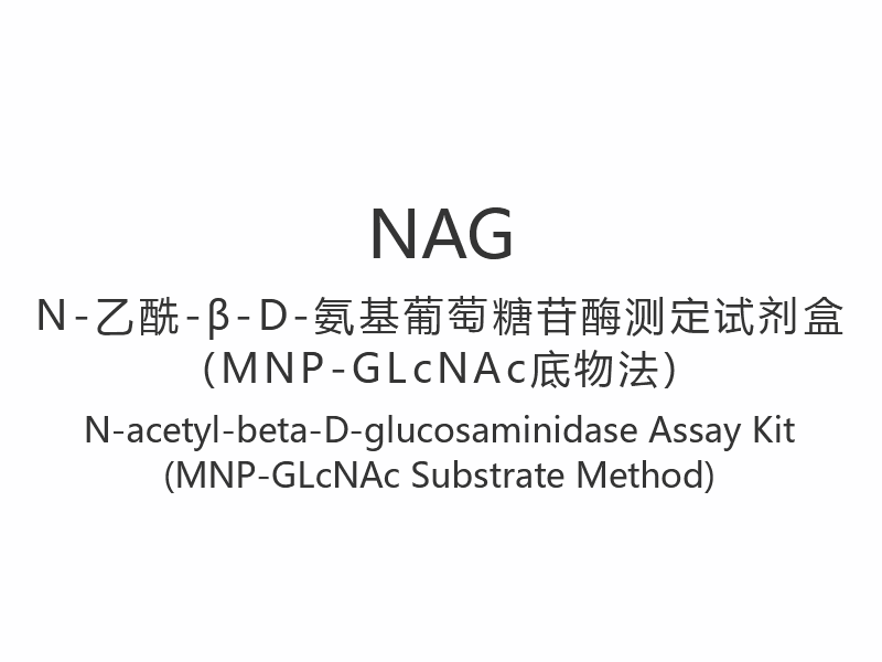【NAG】Kit di dosaggio N-acetil-beta-D-glucosaminidasi (metodo del substrato MNP-GLcNAc)
