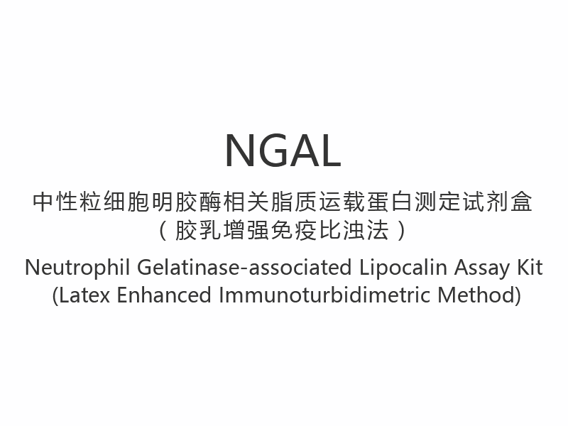 【NGAL】Kit di dosaggio della lipocalina associata alla gelatina dei neutrofili (metodo immunoturbidimetrico potenziato con lattice)